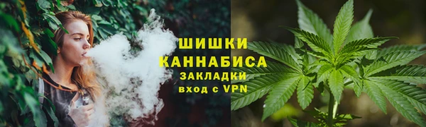 гашик Гусь-Хрустальный