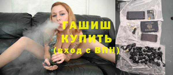 СК Гатчина