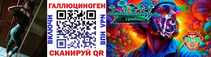 Псилоцибиновые грибы Psilocybe  Калач 